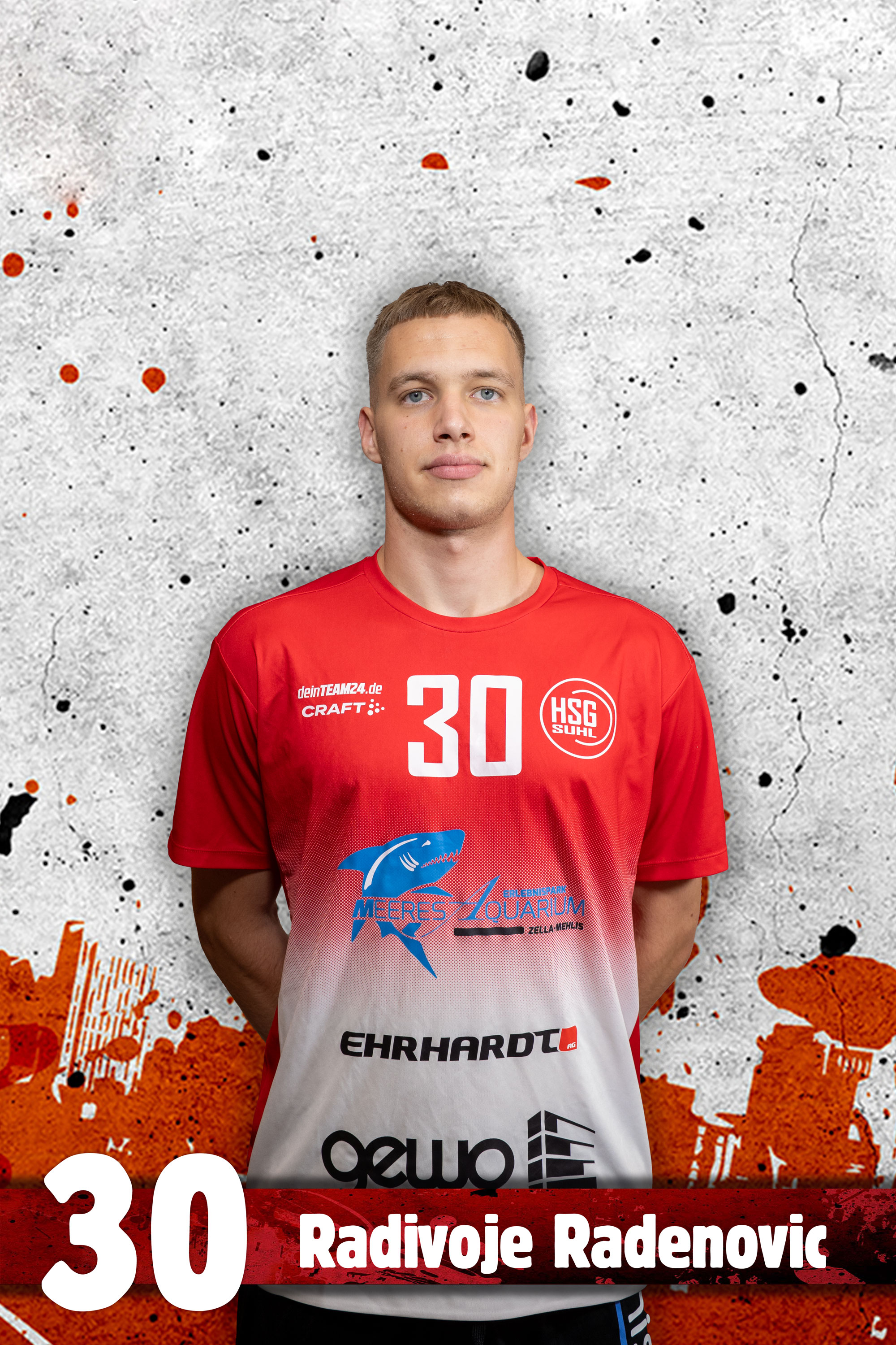 Radivoje Radenovic